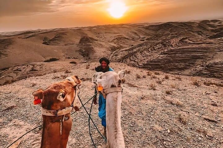 Agafay Desert Camel Ride, Sunset & Berber Dinner Show from Marrakech photo 4