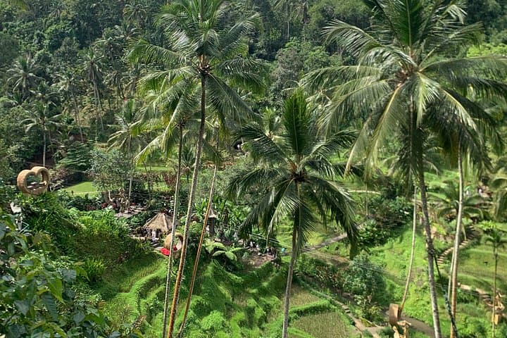 Penglipuran Village to Tirta Empul: Ubud Full-Day Private Car Adventure photo 1