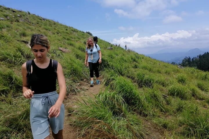 Hantana Pekoe Trail: Full-Day Tea Plantation Hike from Kandy photo 5