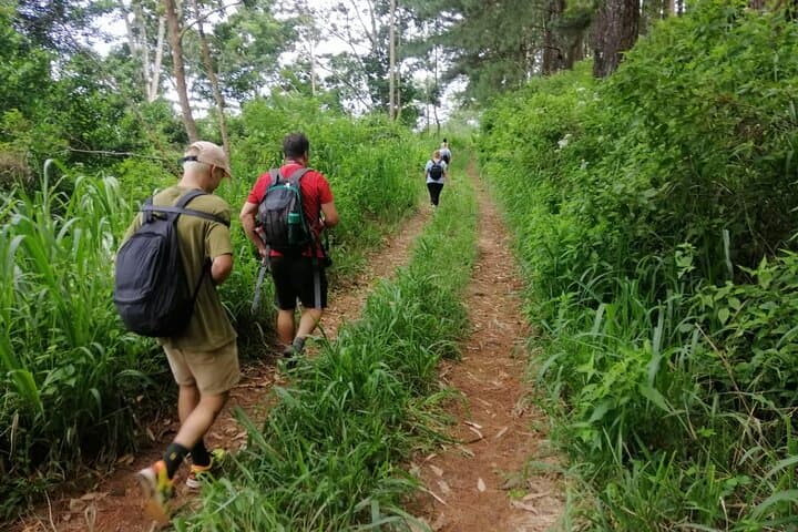 Hantana Pekoe Trail: Full-Day Tea Plantation Hike from Kandy photo 6