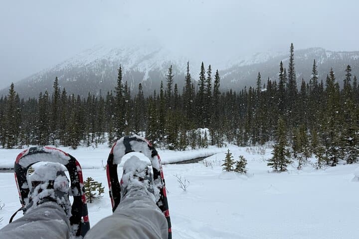 Canmore 2-Hour Guided Snowshoeing in Kananaskis — Winter Tour with Transport