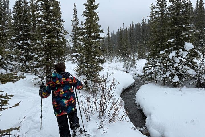 Canmore 2-Hour Guided Snowshoeing in Kananaskis — Winter Tour with Transport photo 4
