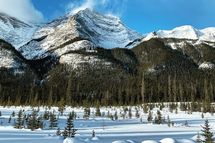 Canmore 2-Hour Guided Snowshoeing in Kananaskis — Winter Tour with Transport photo 6
