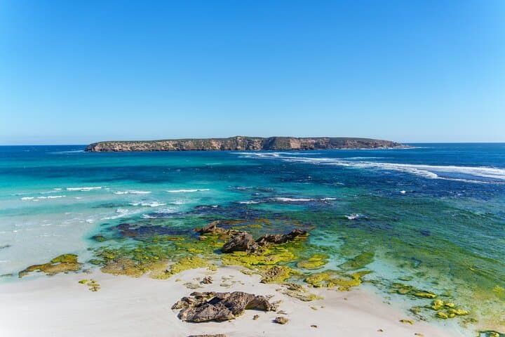 Coffin Bay Oyster Shucking and 4WD Off-Road Adventure — Full-Day Tour