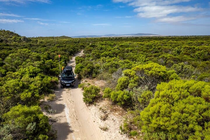 Coffin Bay Oyster Shucking and 4WD Off-Road Adventure — Full-Day Tour photo 5