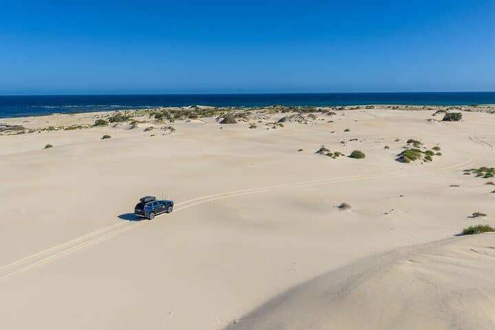 Coffin Bay Oyster Shucking and 4WD Off-Road Adventure — Full-Day Tour photo 6