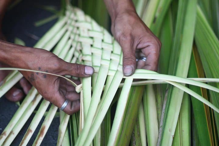 Hands-On Kittitian Crafts: Bush Tea, Basket Weaving & Shell Jewelry in Basseterre photo 3
