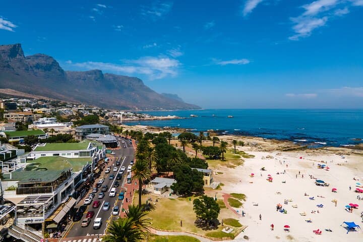 Cape Peninsula Full-Day Tour — Chapman’s Peak, Cape Point & Penguin Colony photo 4