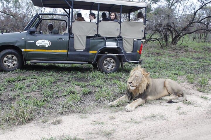 One-Day Guided Safari in Kruger National Park: Big Five Day Trip from Orpen photo 4