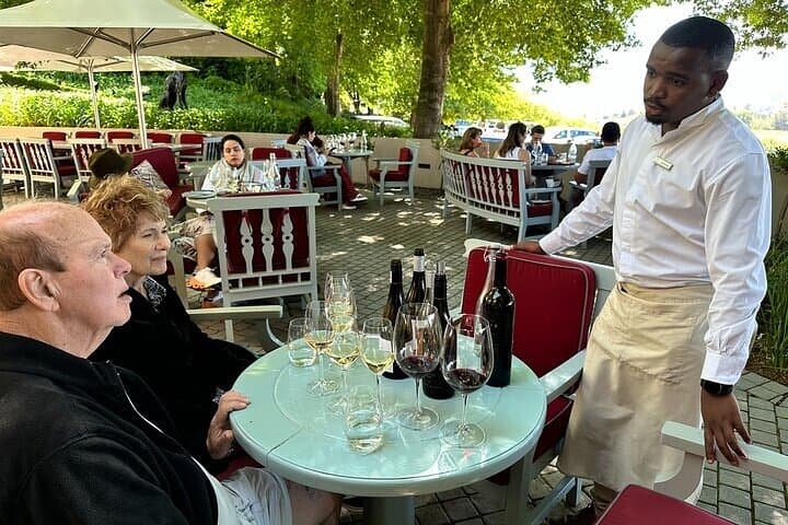 Private Stellenbosch Wine Tour: Full-Day Winelands Tasting & Estate Visits
