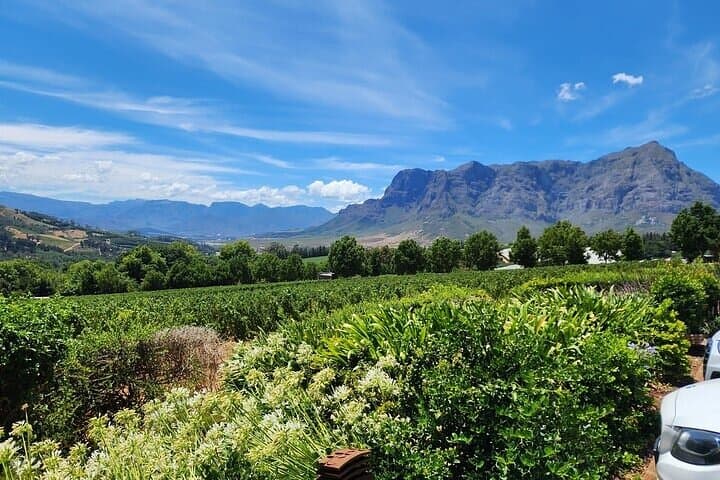 Private Stellenbosch Wine Tour: Full-Day Winelands Tasting & Estate Visits photo 5