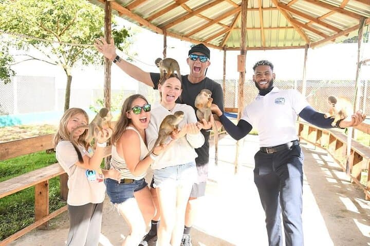 Damajagua 27 Pools & Monkey Encounter — Puerto Plata Waterfall Hike and Swim photo 6