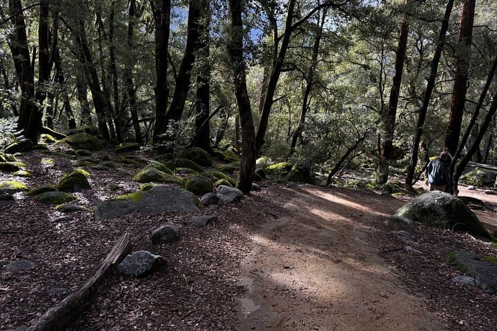 Self-Guided Yosemite Valley Walking Tour with Expert Audio Guide photo 2
