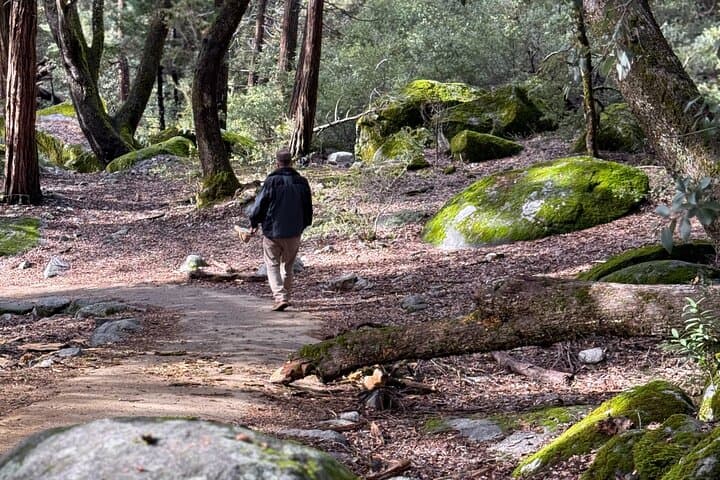Self-Guided Yosemite Valley Walking Tour with Expert Audio Guide photo 4