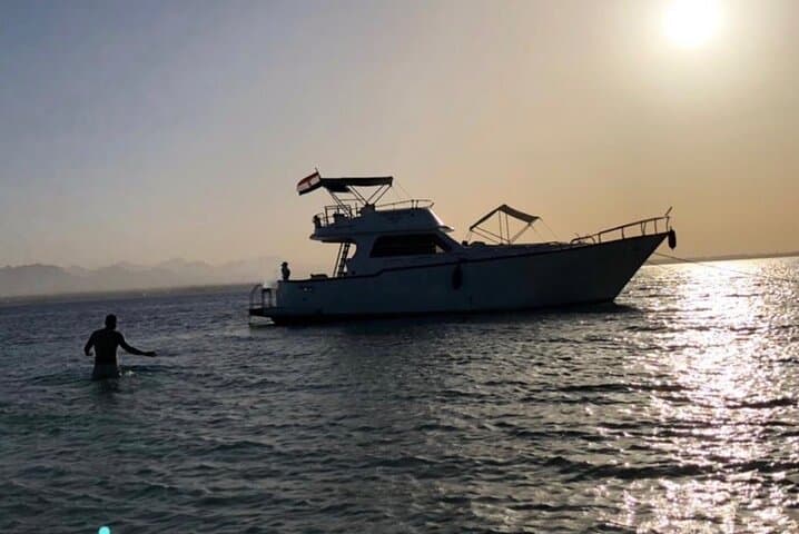 Private Hurghada Speedboat: Dolphin Watching & Snorkeling in the Red Sea