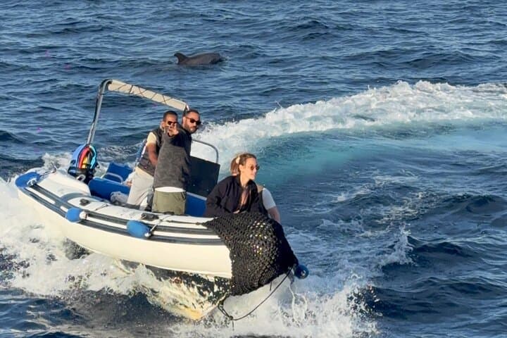 Private Hurghada Speedboat: Dolphin Watching & Snorkeling in the Red Sea photo 2