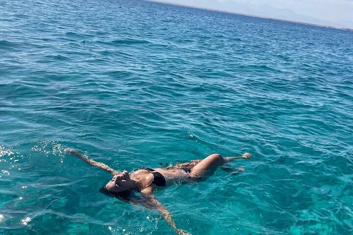 Private Hurghada Speedboat: Dolphin Watching & Snorkeling in the Red Sea photo 3