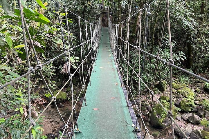 El Valle de Antón Full-Day: Waterfalls, Hot Springs & Local Market photo 4