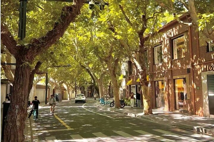 Walking the Shanghai Former French Concession: Fuxing Park to Xintiandi Guided Tour photo 4