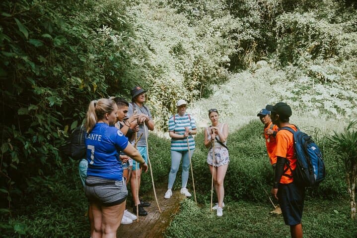 Twin Lakes Jungle Trek & Canoe: Buyan and Tamblingan Day Adventure