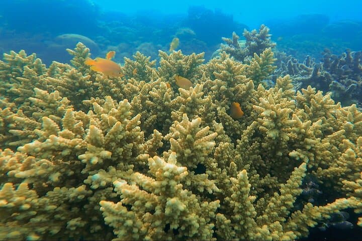 Private Lombok Raft Tour: Snorkel Gili Nanggu, Sudak & Kedis photo 2