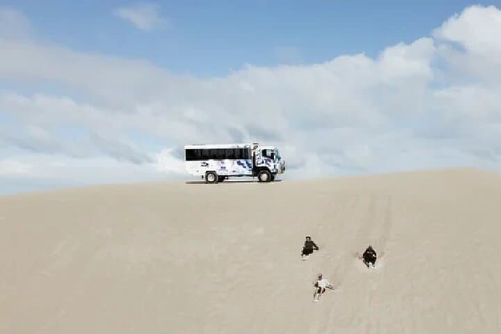 Lancelin 4WD and Sandboarding Dunes Adventure — Thrill Ride from Perth photo 4