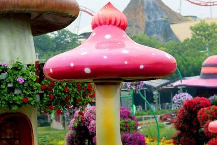 Explore Dubai Miracle Garden — World's Largest Floral Wonderland photo 2