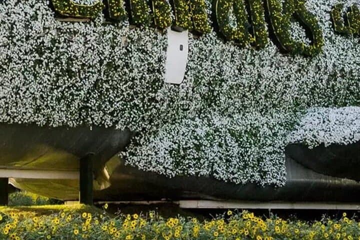Explore Dubai Miracle Garden — World's Largest Floral Wonderland photo 3