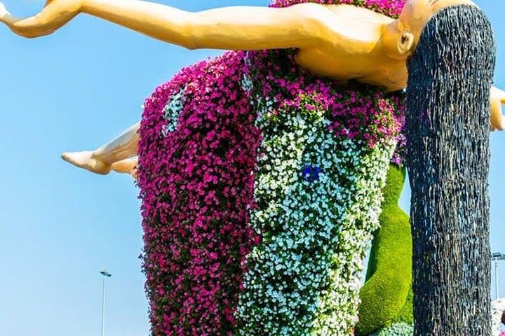 Explore Dubai Miracle Garden — World's Largest Floral Wonderland photo 4
