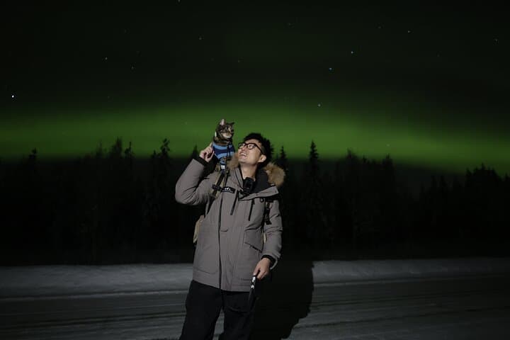Rovaniemi Aurora Photography: Guided Northern Lights Hunt at the Arctic Circle