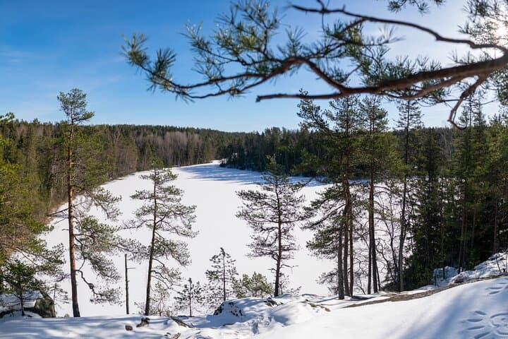 Nuuksio National Park Hike from Helsinki — 7.5 km with Campfire Lunch