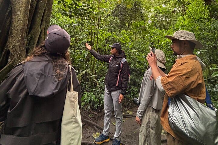 Bali Twin Lake Trekking and Canoeing: Tamblingan & Buyan Day Tour photo 4