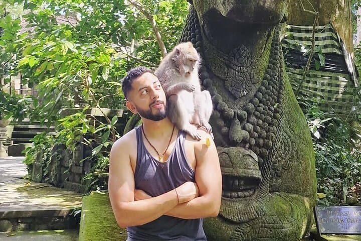 Full-Day Ubud: Sacred Monkey Forest, Tirta Empul & Tegalalang Rice Terrace Tour photo 2