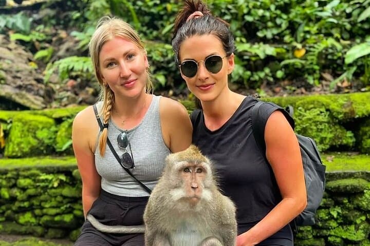 Full-Day Ubud: Sacred Monkey Forest, Tirta Empul & Tegalalang Rice Terrace Tour photo 1