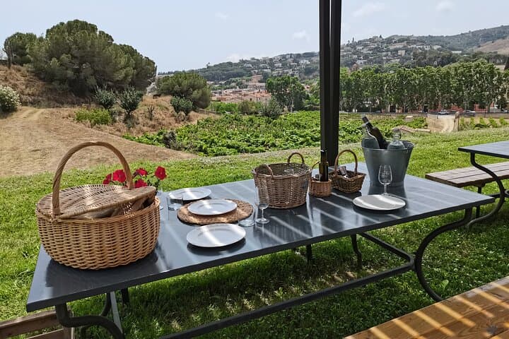 E-bike Wine Tasting Along Barcelona's Coast: Alta Alella Winery Tour photo 4