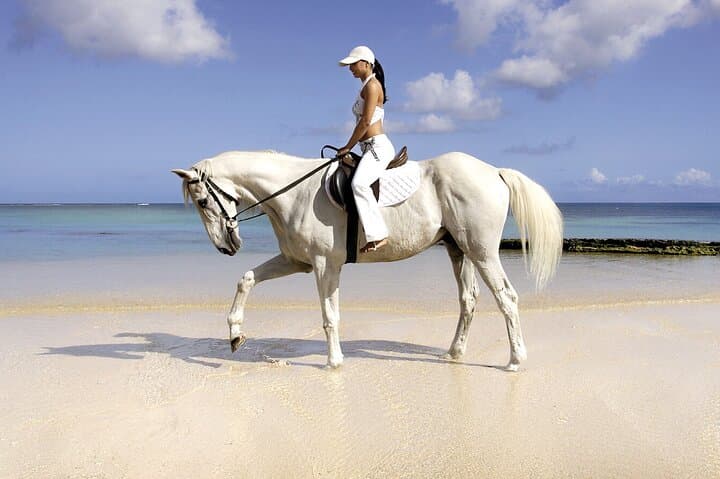 Hurghada Horseback Ride: Desert Dunes and Red Sea Swims photo 3