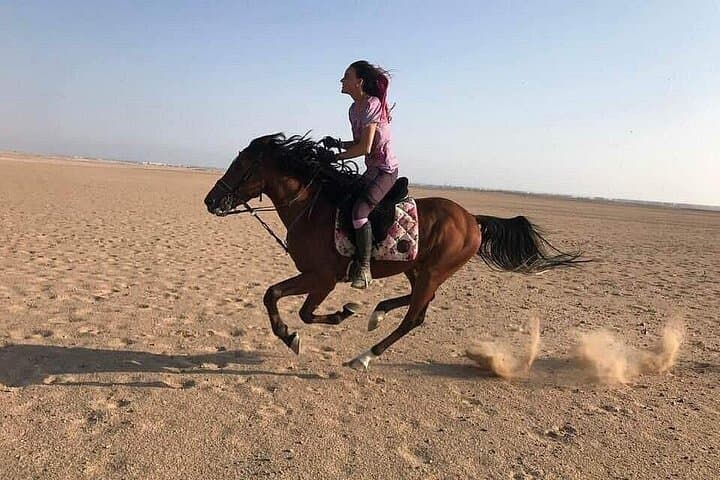 Hurghada Horseback Ride: Desert Dunes and Red Sea Swims photo 2