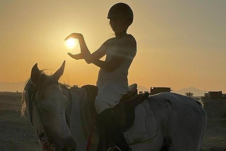 Hurghada Horseback Ride: Desert Dunes and Red Sea Swims photo 5