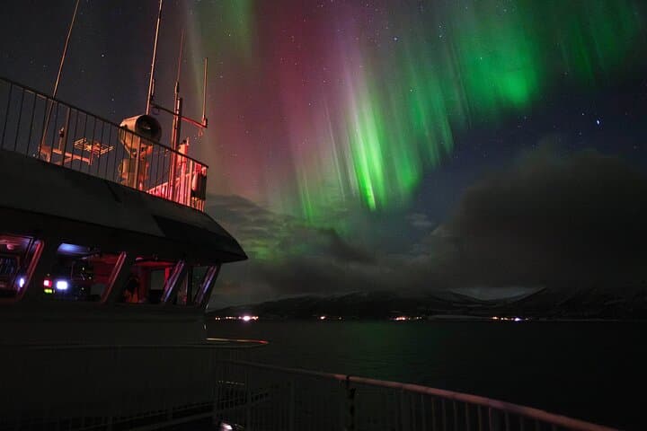 24-Hour Northern Lights and Whale Watching Cruise from Tromsø photo 3