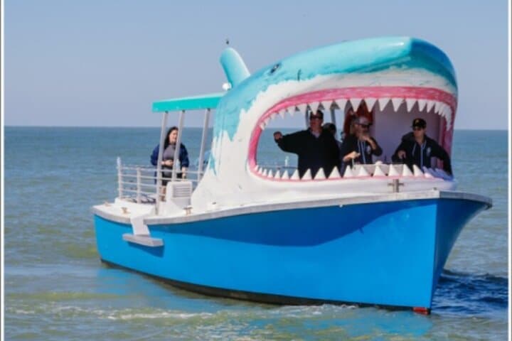 Ride the Shark Boat in Destin: Dolphin Watch & Sunset Cruise photo 1