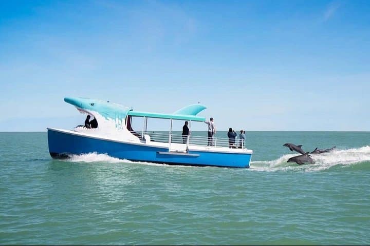 Ride the Shark Boat in Destin: Dolphin Watch & Sunset Cruise photo 2