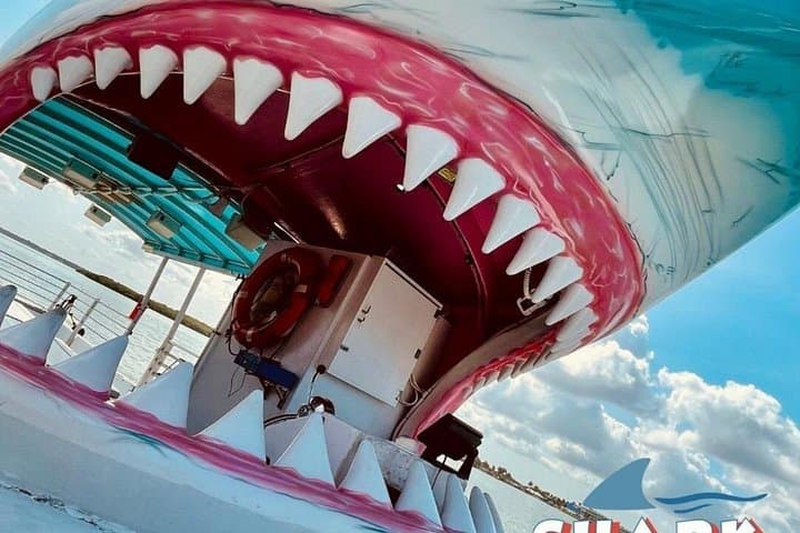 Ride the Shark Boat in Destin: Dolphin Watch & Sunset Cruise photo 3
