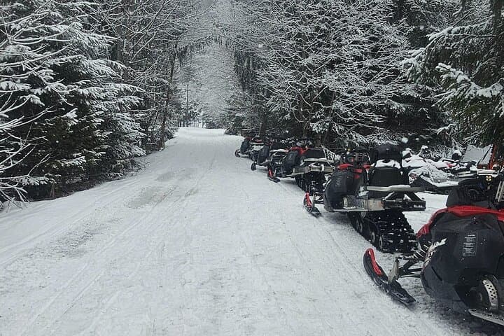 Bucharest to the Carpathians: 2-Hour ATV Quad Tour photo 3