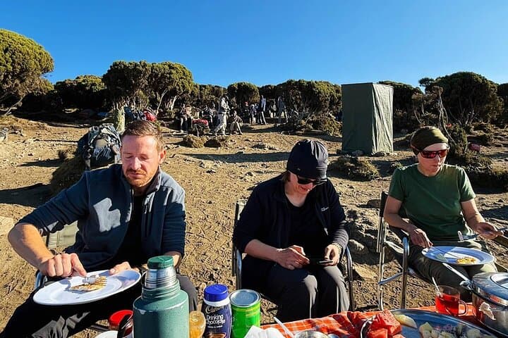 8-Day Lemosho Route Kilimanjaro Trek: Gradual Ascent to Uhuru Peak
