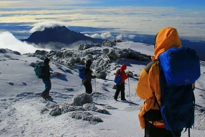 8-Day Lemosho Route Kilimanjaro Trek: Gradual Ascent to Uhuru Peak photo 2