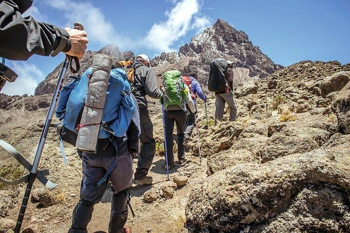8-Day Lemosho Route Kilimanjaro Trek: Gradual Ascent to Uhuru Peak photo 3