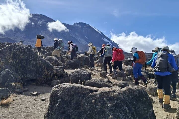 8-Day Lemosho Route Kilimanjaro Trek: Gradual Ascent to Uhuru Peak photo 4