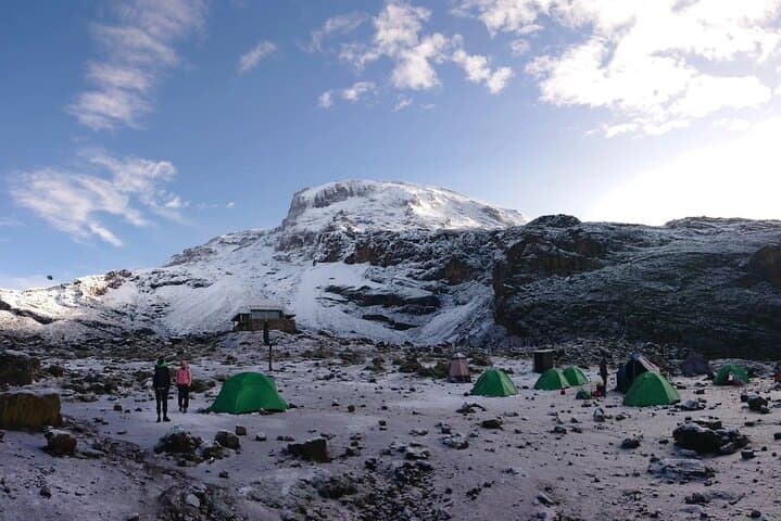 8-Day Lemosho Route Kilimanjaro Trek: Gradual Ascent to Uhuru Peak photo 5