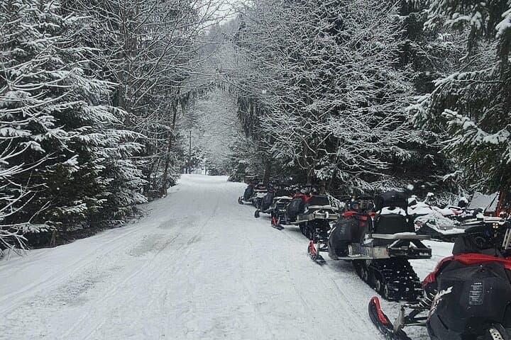 Carpathian Buggy Self-Drive Adventure from Bucharest — 3-Hour Off‑Road Circuit