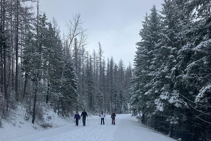 Private Guided Snowshoe Adventure in Glacier National Park — Winter Day Tour from Kalispell